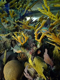 ALT1: Diorama designed by Miner